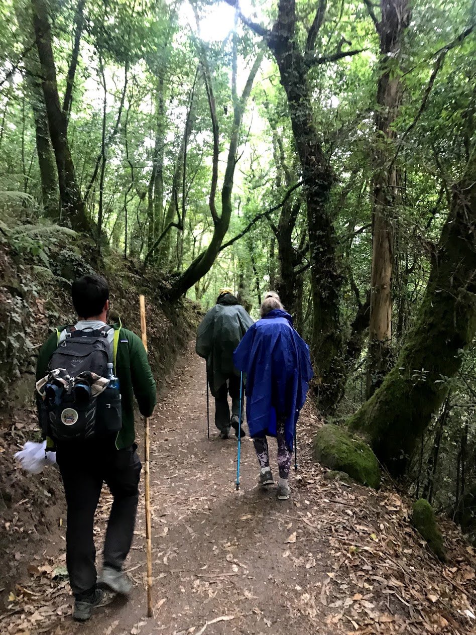 Portuguese Coastal Camino